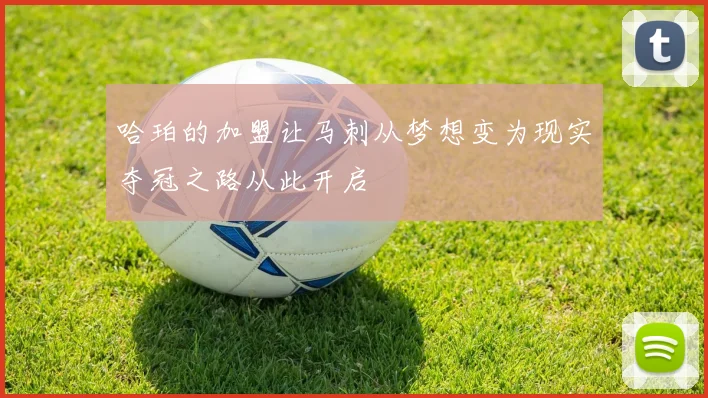 哈珀的加盟让马刺从梦想变为现实夺冠之路从此开启